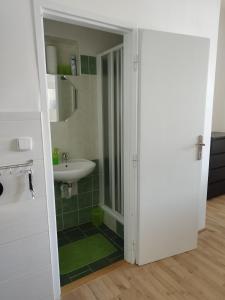 a bathroom with a sink and a shower backdoor at Stará Sázava in Sázava