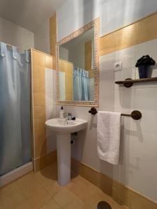 a bathroom with a sink and a shower and a mirror at Apartamentos Rurales El Pedregoso 