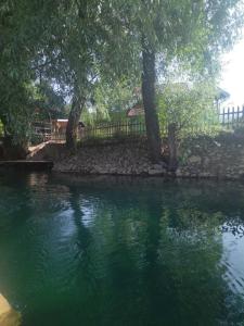 a pond with green water and trees and a fence at Kuca Delić in Račić