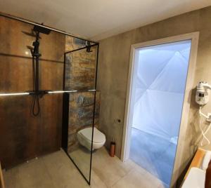 baño con ducha, aseo y puerta de cristal en Podniebny Glamping, en Borsk