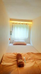 sypialnia z łóżkiem z kocem i oknem w obiekcie Bromo Dormitory & Camp w mieście Bromo
