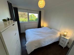 Posteľ alebo postele v izbe v ubytovaní Homely apartment & Thames view
