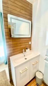 a bathroom with a white sink and a mirror at appartement avec vue jardin proche de Paris in Saint-Maurice