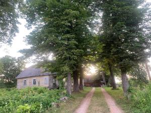 an old house on a dirt road next to trees at House of silence 