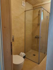 een badkamer met een toilet en een glazen douche bij Eco Residence in Ribarica