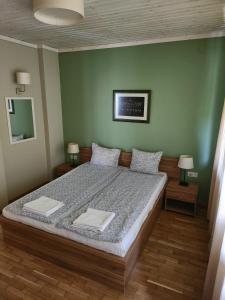 ein Schlafzimmer mit einem großen Bett in einer grünen Wand in der Unterkunft Eco Residence in Ribarica