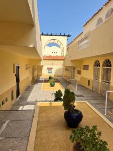 an empty courtyard of a building with potted plants at Mariposa Azul in Adeje