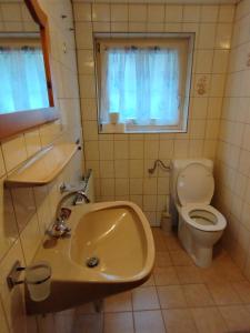 a bathroom with a sink and a toilet and a window at Ferienhaus Kirchler in Hippach