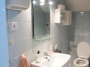 uma casa de banho com um lavatório, um WC e um espelho. em Casa rural fuente de la mora em Uña