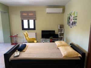 1 dormitorio con 1 cama grande en una habitación en Sunshine apartment, en Ioannina