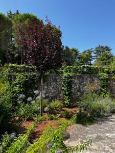 A garden outside Dimora Di Bari
