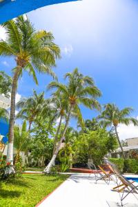 Zahrada ubytování Hotel Caribe Internacional Cancun