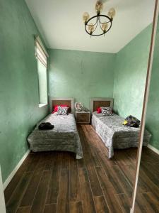 巴庫的住宿－Baku White Villa，配有绿色墙壁和木地板的客房内的两张床