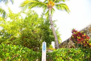 Zahrada ubytování Hotel Caribe Internacional Cancun