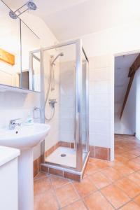 a bathroom with a shower and a sink at Chalet Clos Gauthier in La Salle Les Alpes