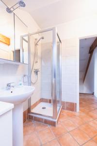 un baño con ducha y lavabo en Chalet Clos Gauthier, en La Salle-les-Alpes