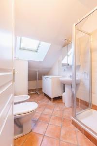 een badkamer met een toilet, een douche en een wastafel bij Chalet Clos Gauthier in La Salle Les Alpes