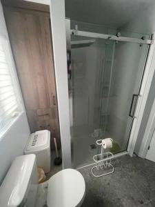a bathroom with a toilet and a glass shower at Les pieds dans le sable in Chambord +96 photos