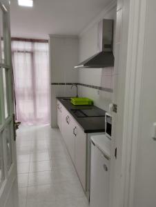 uma cozinha com um lavatório e um fogão em ALVAFER em Ribadeo