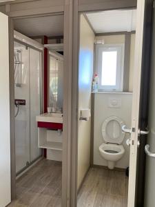 a bathroom with a toilet and a sink and a window at Les chalets des Îles in Borgo
