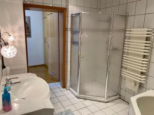 ein Bad mit einer Dusche und einem Waschbecken in der Unterkunft Feriendomizil Mühlenblick in Xanten