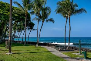 une plage avec des palmiers, un trottoir et l'océan dans l'établissement White Sands Village 223, à Kailua-Kona