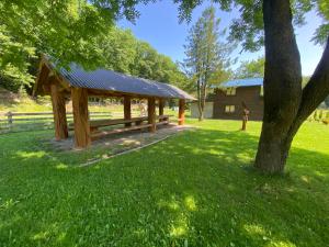 un refugio de picnic en un parque con un árbol en Солонець, en Chereshenka