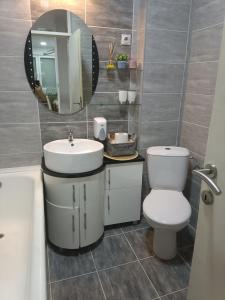 a bathroom with a sink and a toilet and a mirror at Apartment in Veles