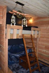 a bunk bed in a log cabin with a ladder at La cabane aux écureuils in Philippeville