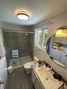 a bathroom with a shower and a toilet and a sink at Maison sur le lac in Desbiens