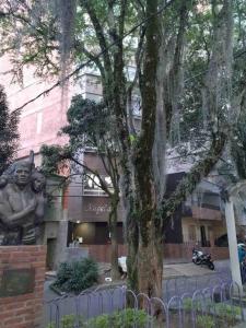a tree in front of a building with a statue at Apartamento nuevo, próximo al metro y CC Mayorca in Sabaneta