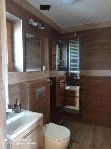 Ένα μπάνιο στο Domki ,,Goramiba'' Jurgów +44 φωτογραφίες