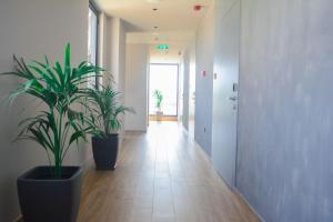 Fotografie z fotogalerie ubytování Azura Ksamil Hotel v destinaci Ksamil