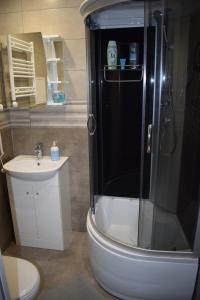 a bathroom with a shower and a toilet and a sink at Kandavas Apartments in Daugavpils