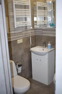 a bathroom with a toilet and a sink at Daugavpils I Apartment in Daugavpils +18 photos