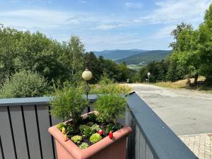 a flower pot on a fence with a bird on it at Modernes Top Apartment mitten im Bayerischen Wald + WLAN kostenfrei in Schöfweg