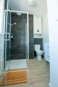 a bathroom with a shower and a toilet at Appartement Proche Gare Routière in Fougères +3 photos