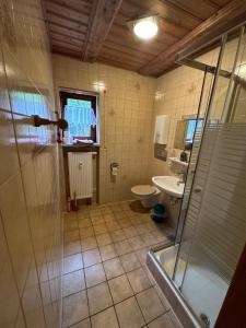 y baño con ducha, aseo y lavamanos. en Modernes Top Apartment mitten im Bayerischen Wald + WLAN kostenfrei, en Schöfweg