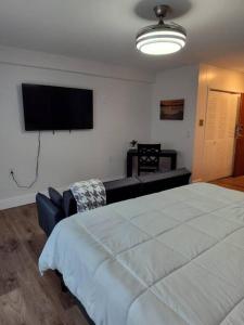 a bedroom with a large bed and a flat screen tv at Serene Studio Apt in Gadsden AL in Gadsden