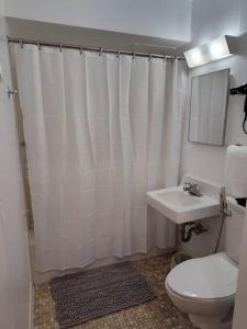 a bathroom with a white shower curtain and a sink at Serene Studio Apt in Gadsden AL in Gadsden