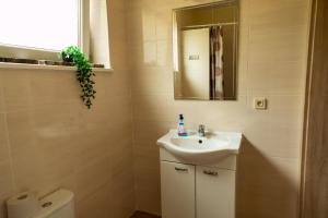 uma casa de banho com um lavatório, um espelho e um WC. em Morelowa przystań em Gdansk