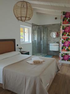 1 dormitorio con 1 cama y ducha acristalada en Loft La buena vida, en Peñaranda de Duero