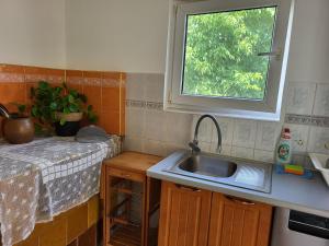 a small kitchen with a sink and a window at Domek letniskowy Dolice in Dolice