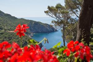 a red flower in front of a view of the ocean at Boutique Hotel Torre Di Cala Piccola in Porto Santo Stefano