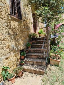 Zahrada ubytování Agriturismo Podere Chiassaie