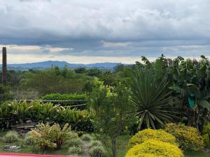 a garden with a lot of plants and trees at Mi Casita Campersite in Armenia