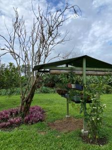a bird feeder in a field with a tree at Mi Casita Campersite in Armenia