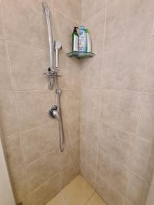 a bathroom with a shower with two bottles of shampoo at ארוח האגוזים in Shefer