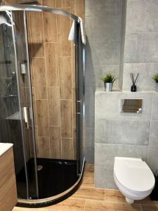 een badkamer met een douche en een toilet bij Lux Apart - Apartamenty z jacuzzi i sauną nad Wisłą in Ustroń