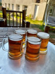 Bevande di Guesthouse of Irina